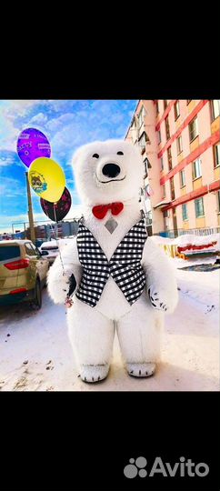 Белый медведь поздравление на любой праздник