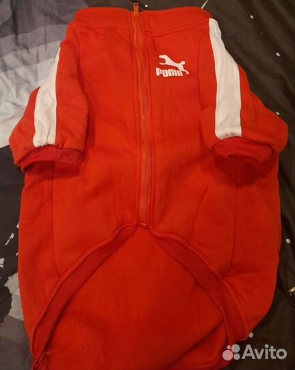 Толстовка для собак