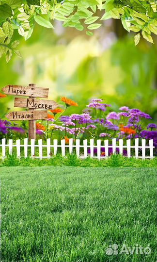 Фон для фотосессии