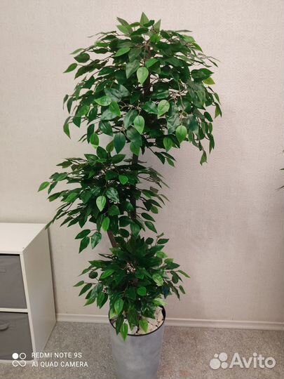 Фикус искусственный зеленый