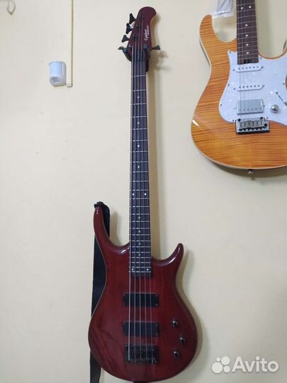 Бас гитара 5 струн