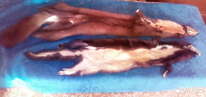 Шкурки норок