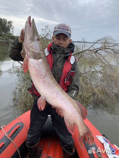 Рыбалка с гидом на реке Томь и Обь Гайдинг