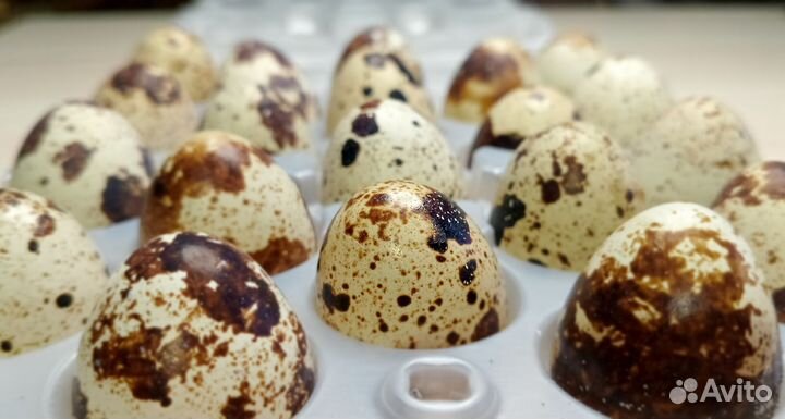 Перепелиные домашние яйца