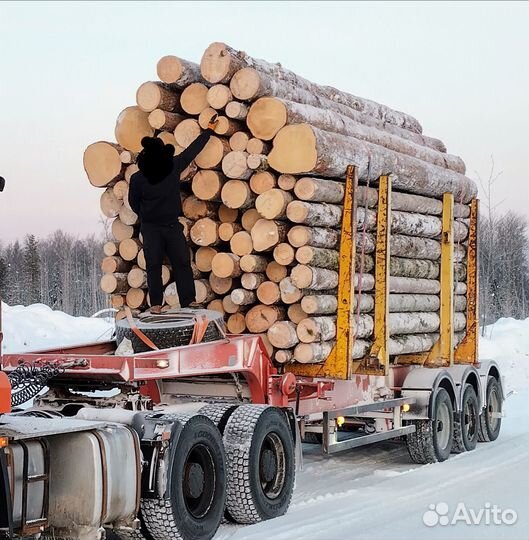 Полуприцеп лесовоз (сортиментовоз) Fruehauf лесовоз, 1999