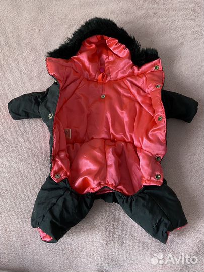 Зимний костюм для собак