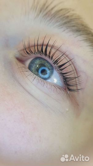 Ламинирование ресниц, оформление бровей