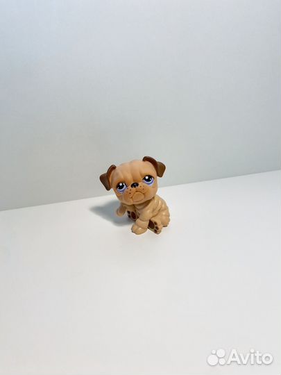 Littlest pet shop бульдог и лягушка