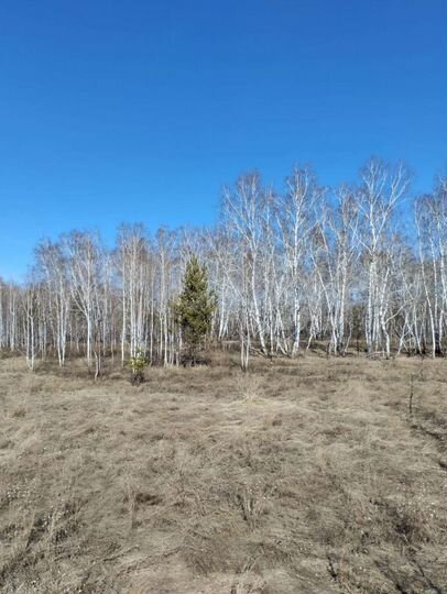 Участок 30 сот. (ИЖС)