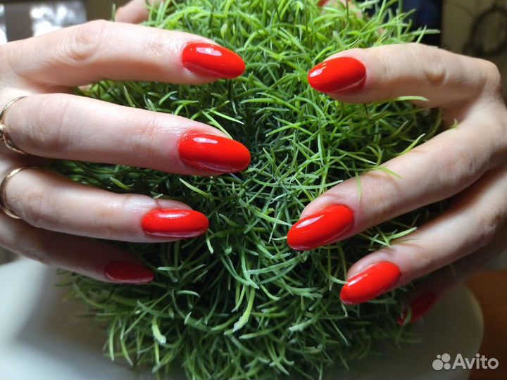 Гель -лак, педикюр