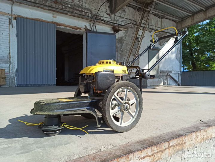 Колесный триммер Champion LMH5640 в аренду