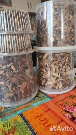 Сушеные грибы