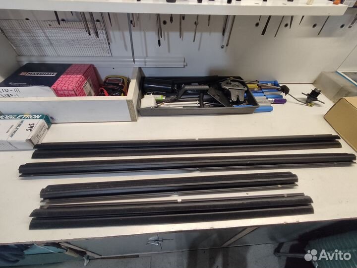 Бархотки внутренние Лансер 10