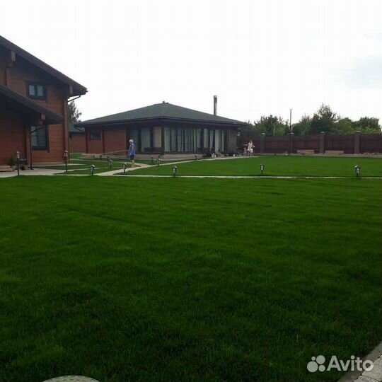 Рулонный газон, укладка, продажа