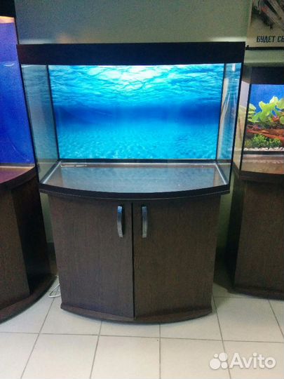 Аквариум 200 полукруг, свет, фон, биофильтр, тумба