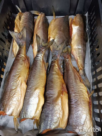 Копченая рыба