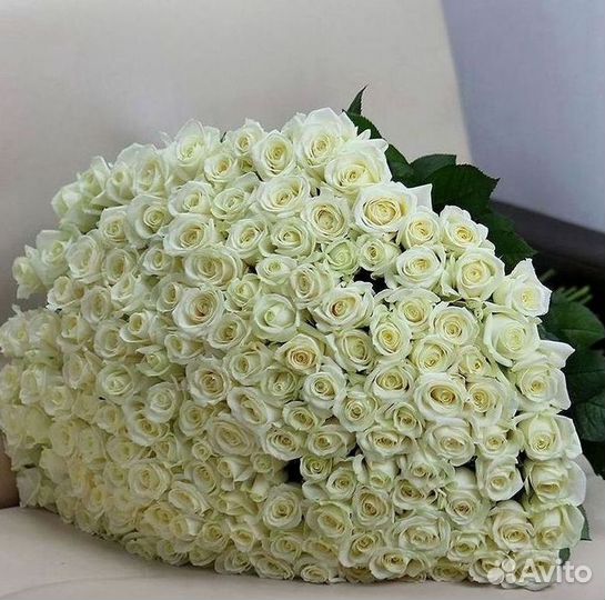 Розы Цветы Букеты 25 151 201 101 301 501 опт