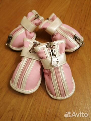 Обувь для собак