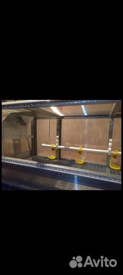 Брудер для цыплят, утят, гусят