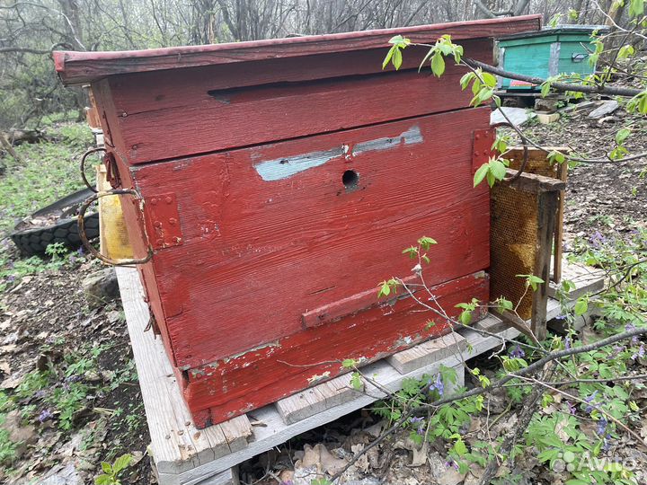 Ульи для пчел