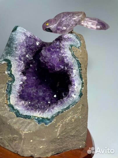 Аметист жеода с папугаем