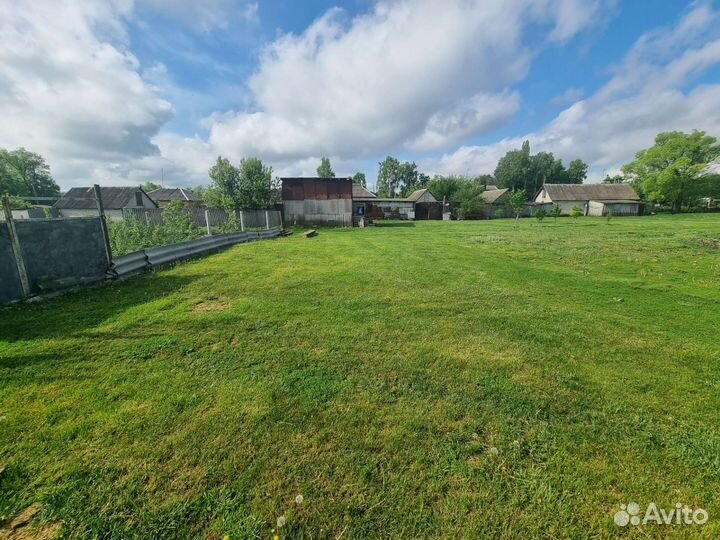 Бензиновый триммер Brait BR 310F