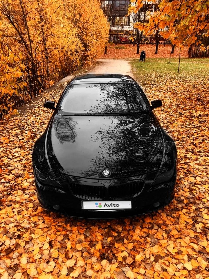 BMW 6 серия: фото владельца