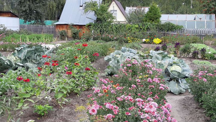 Участок 10 сот. (СНТ, ДНП)