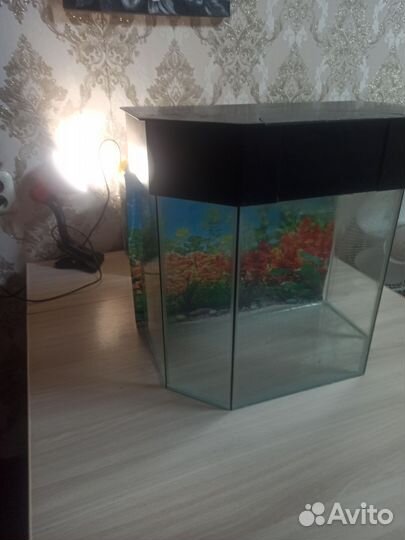 Аквариум на 30 литров