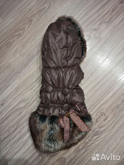 Одежда для маленьких пород собак