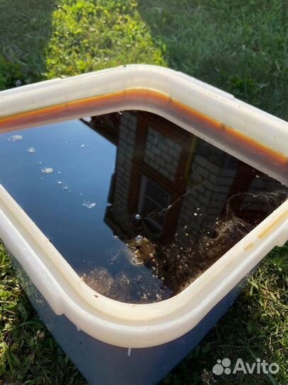 Свежий мёд Горный Опт