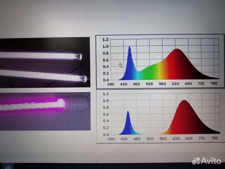 Фито светильник белого свечения для растений