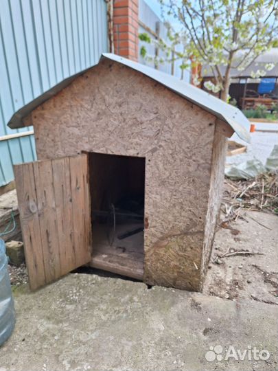 Собачья будка