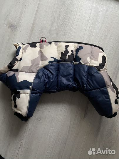 Одежда для собак