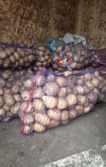 Картофель с доставкой