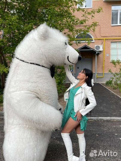 Медведь на праздник. Ростовая кукла. Шоу Мишек