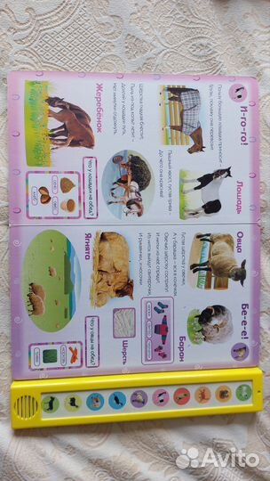 Говорящие книги нажималка