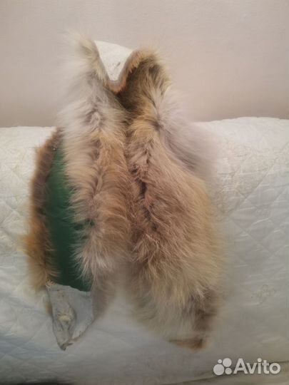 Меховой воротник лиса