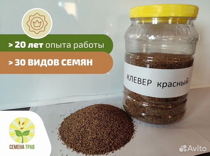 Семена клевера красного