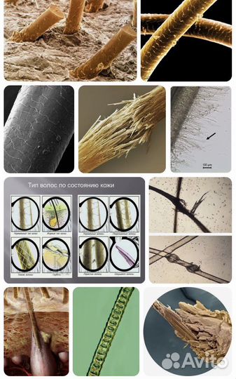 Микроскоп цифровой carson MM640