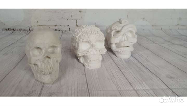 Черепа из гипса
