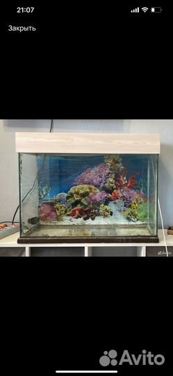 Аквариум Компрессор для аквариума бесшумный