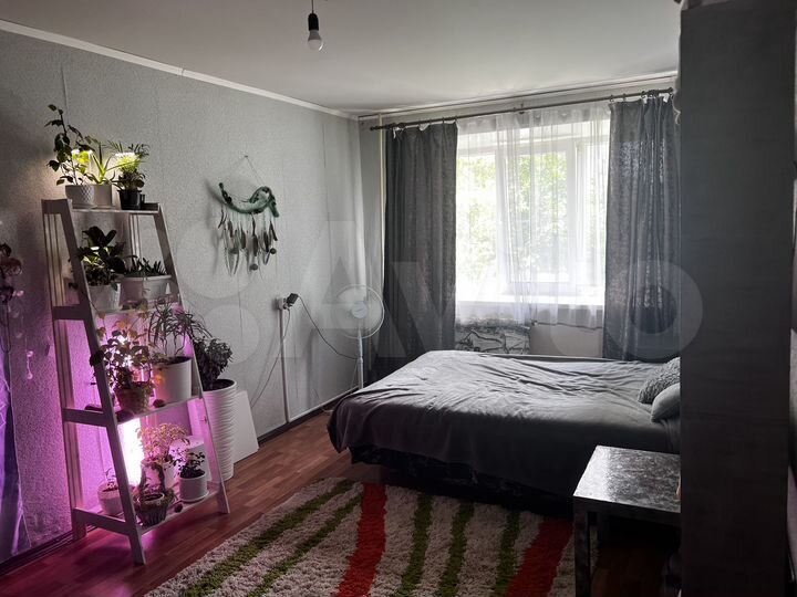 1-к. квартира, 29,9 м², 1/5 эт.