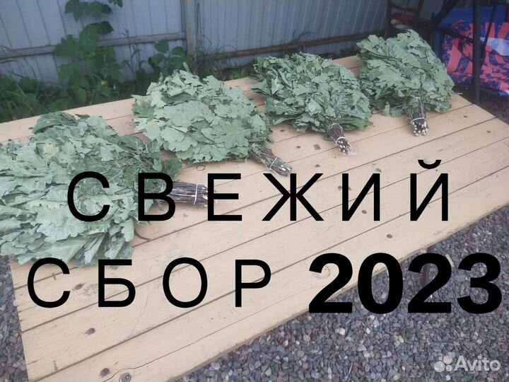 Дубовые веники для бани и сауны