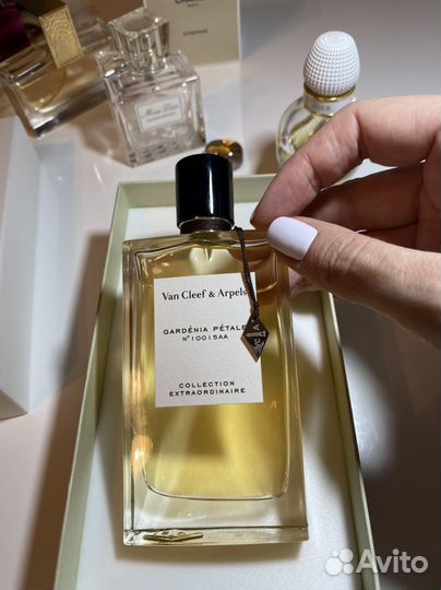 Gardenia Petale Van Cleef & Arpels