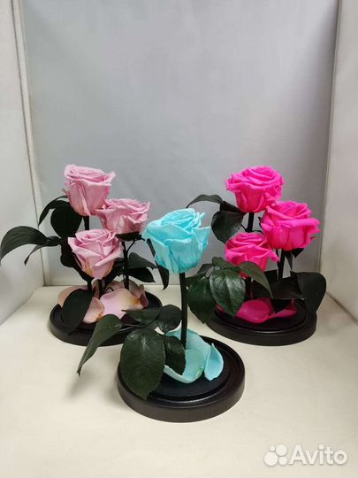 Розы оптом