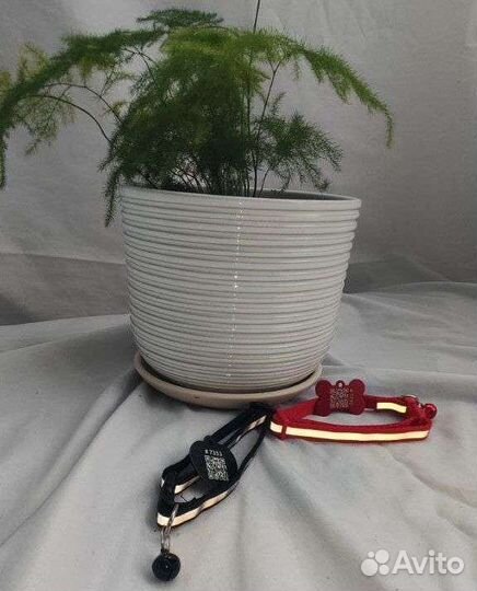 Ошейник с защитой от потери питомца