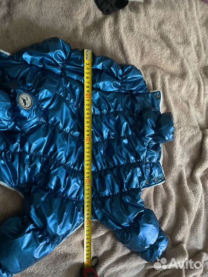 Костюм для собаки мелкой породы