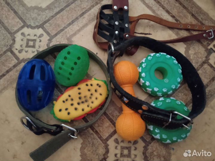 Ошейники и игрушки