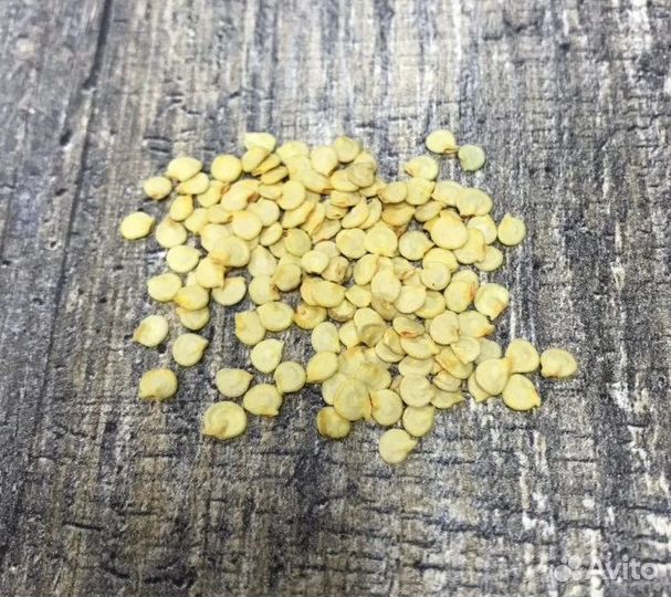 Семена сладкого перца